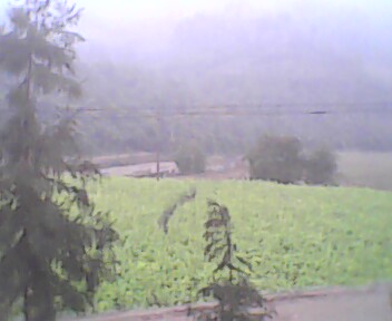 IMG0141A.jpg