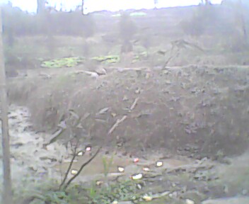 IMG0142A.jpg