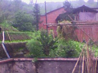 IMG0017B.jpg