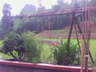 IMG0016A.jpg