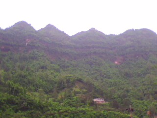 IMG0183A.jpg
