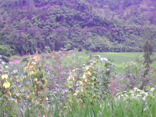 IMG0185A.jpg