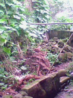 IMG0187A.jpg