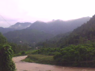 IMG0332A.jpg